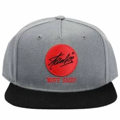 Bioworld Marvel Stan Lee Raised Embroidered Flat Bill Snapback -Fashion T Shirt Shop SB9BSYSLE 3